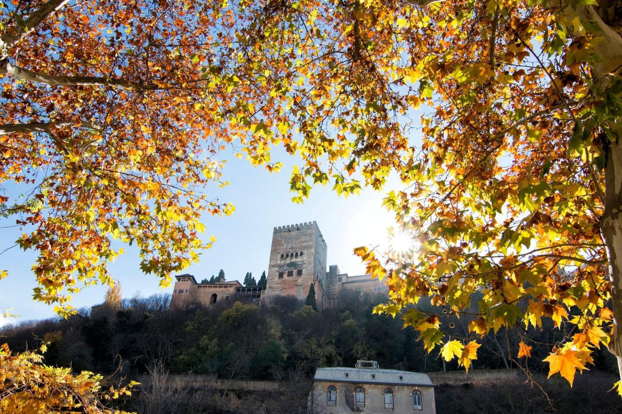 그라나다 Luxury Alhambra Hideaway 아파트 외부 사진